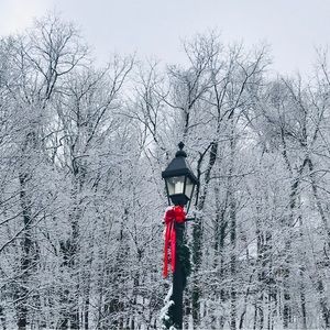 It’s 2026. Time to treat yourself. Most reasonable offers accepted.